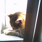 Picture010_03Apr05