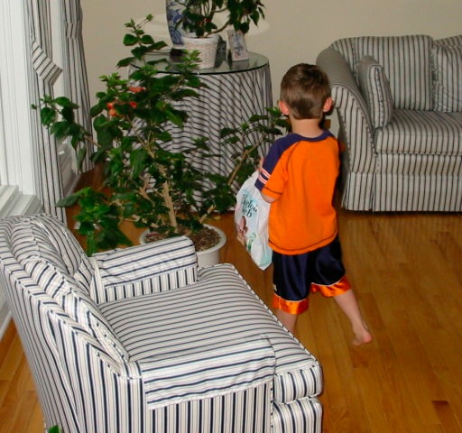 Loading Image