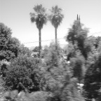 DSCF3755