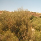 DSCF3786